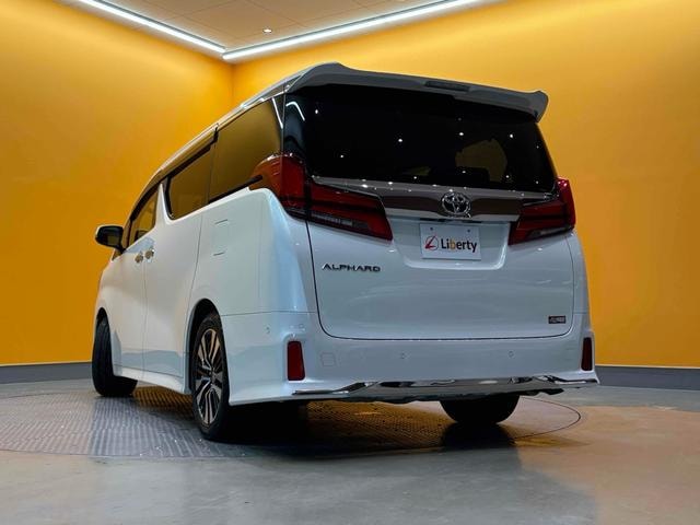 Миниатюра 18