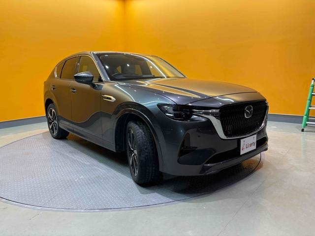 Миниатюра 16