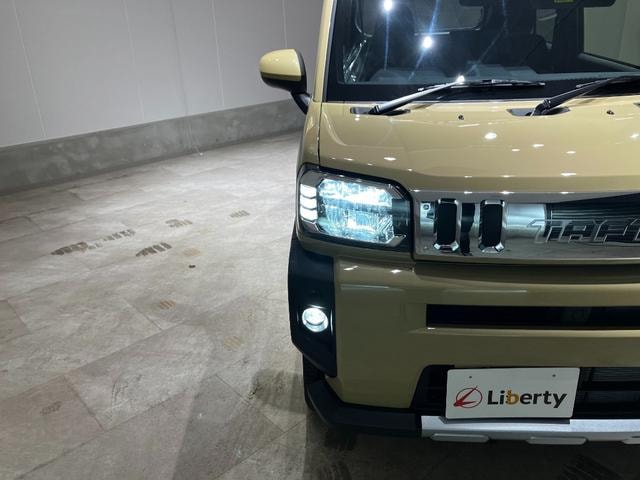 Миниатюра 17