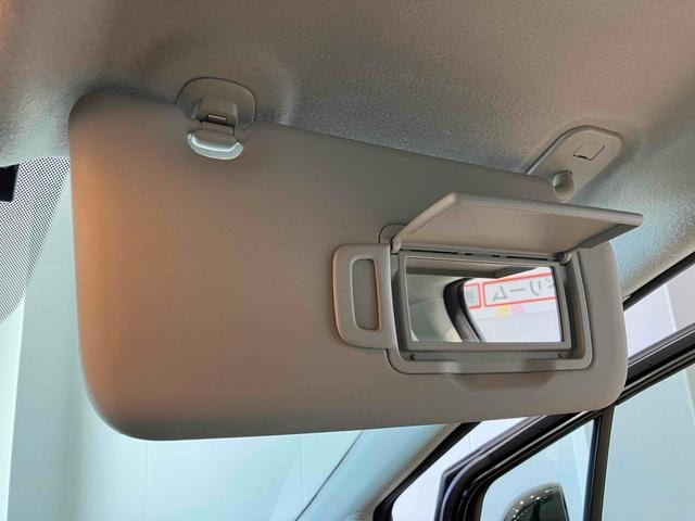 Миниатюра 67