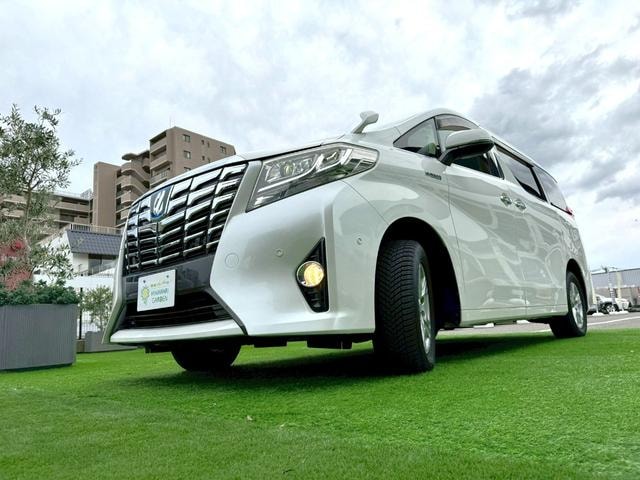 Миниатюра 77