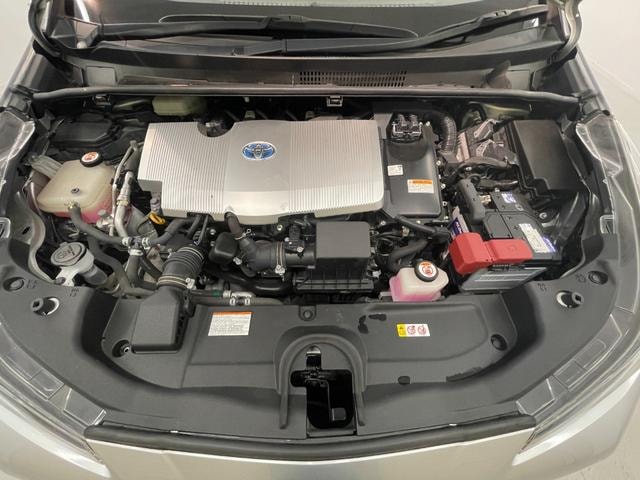 Миниатюра 52