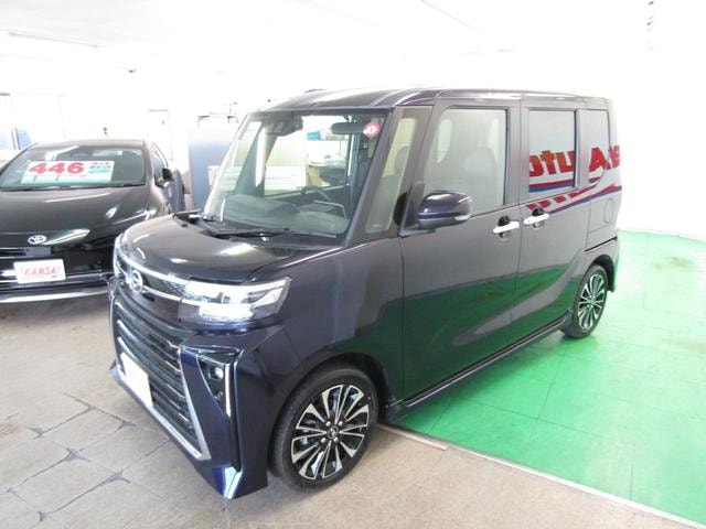 Миниатюра 55