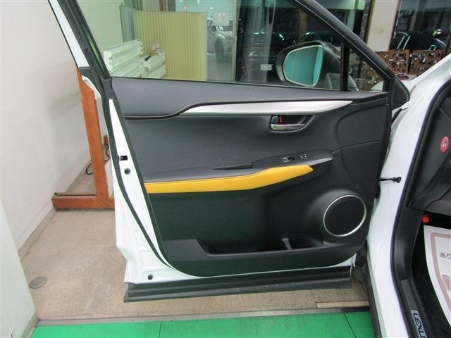 Миниатюра 41