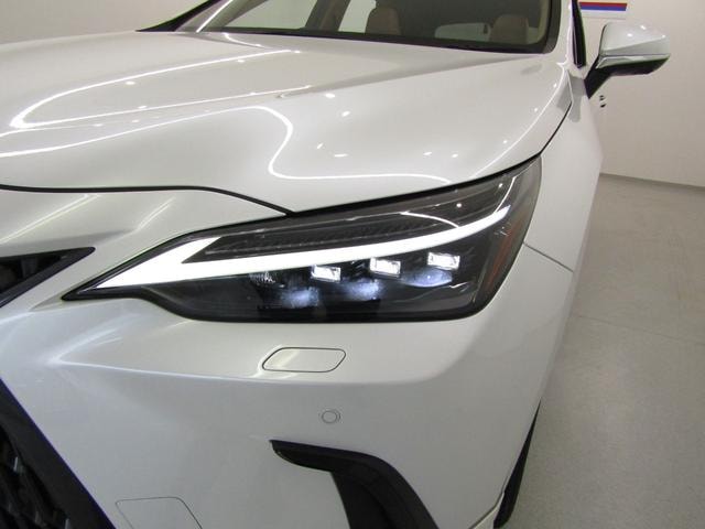 Lexus NX 2023 — фото автомобиля 1