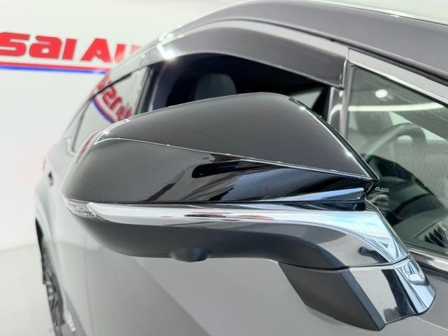 Миниатюра 66