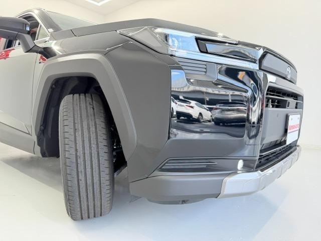 Миниатюра 51