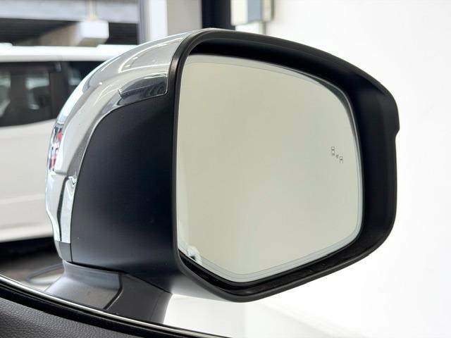 Миниатюра 41