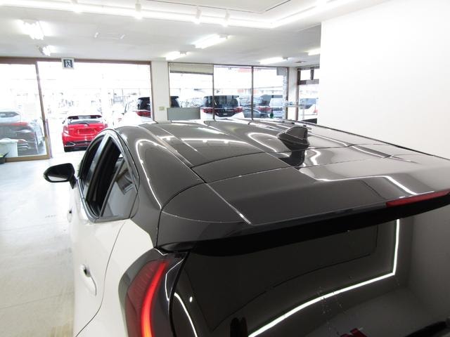 Миниатюра 57