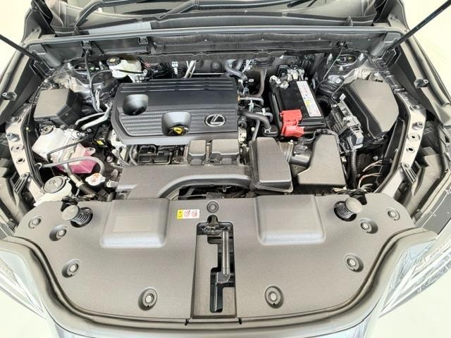 Миниатюра 74