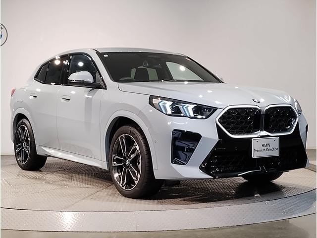 Миниатюра 67