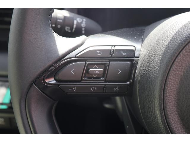 Миниатюра 30