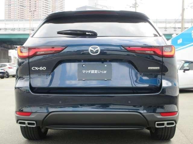 Миниатюра 19