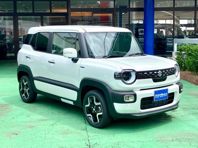 Миниатюра 13