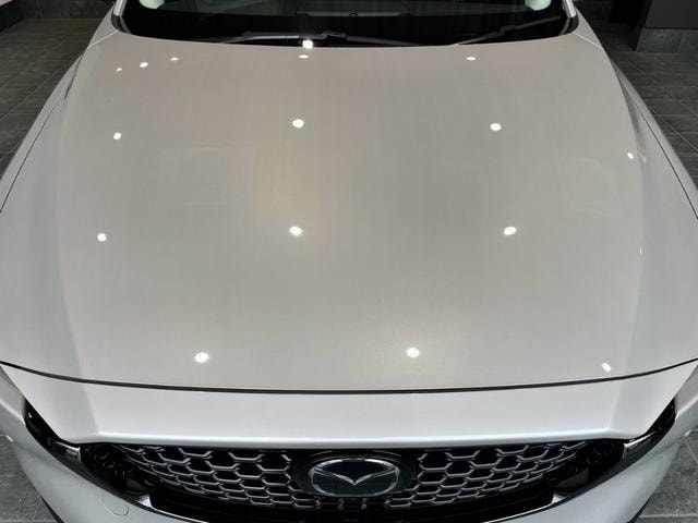 Миниатюра 11