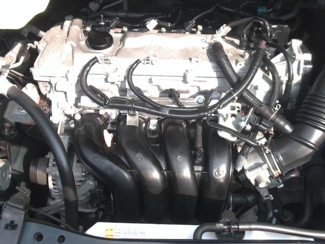 Миниатюра 41