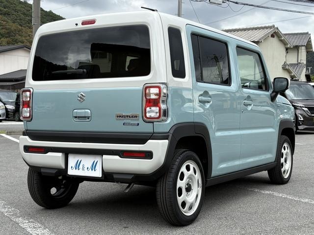 Миниатюра 43