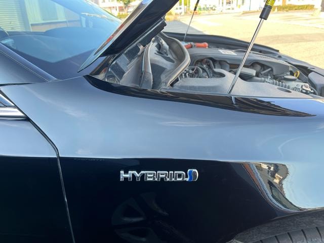 Миниатюра 47