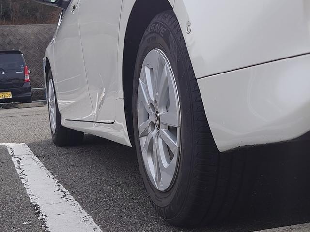 Миниатюра 29