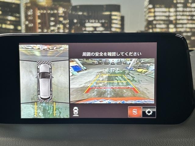 Миниатюра 7