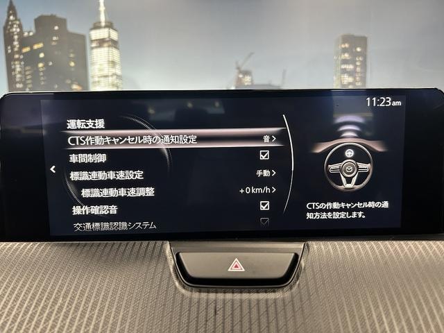 Миниатюра 59