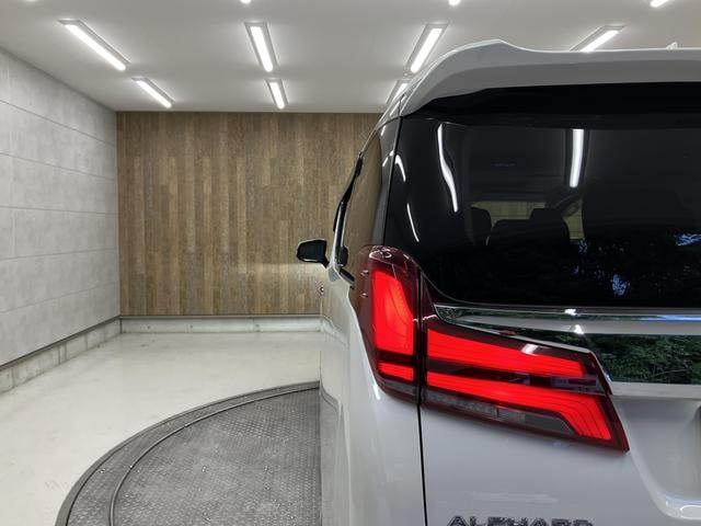 Миниатюра 46