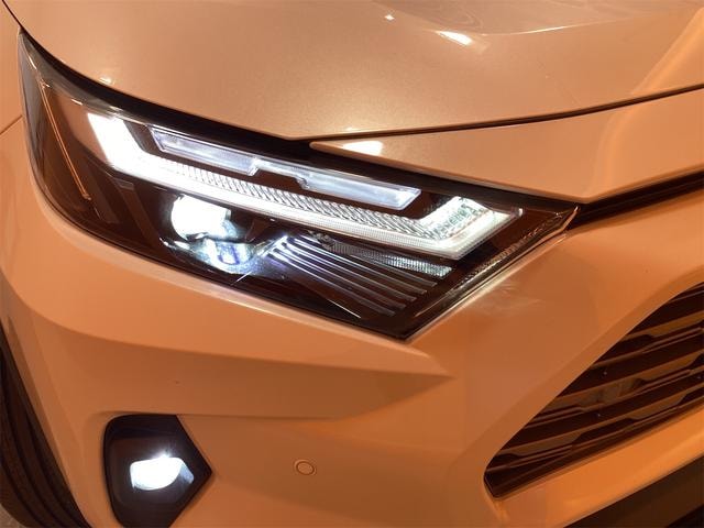 Toyota RAV4 2023 — фото автомобиля 1