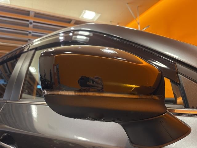 Миниатюра 56