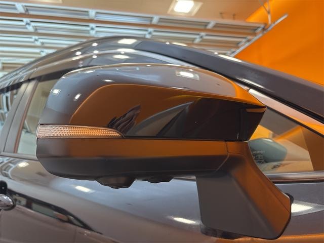 Миниатюра 53