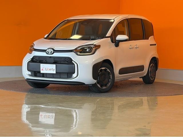 Миниатюра 28