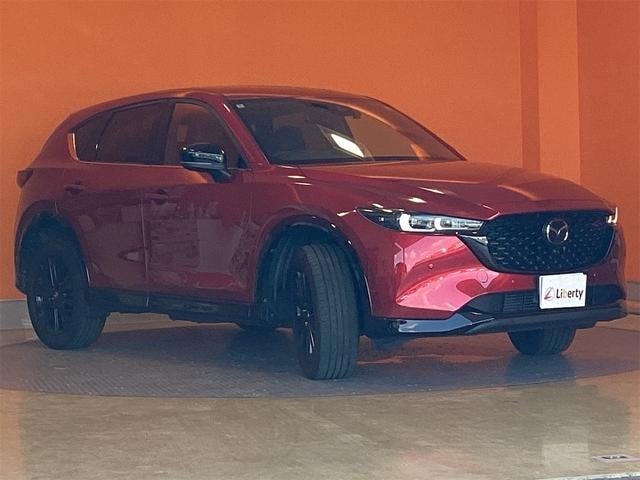 Миниатюра 24