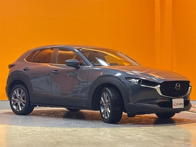 Миниатюра 18