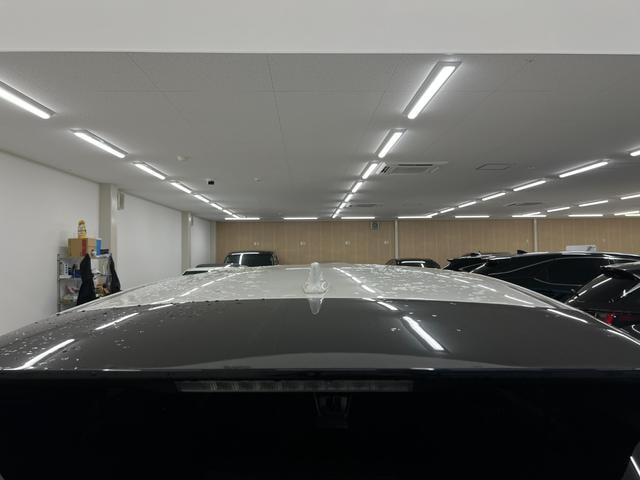 Миниатюра 65