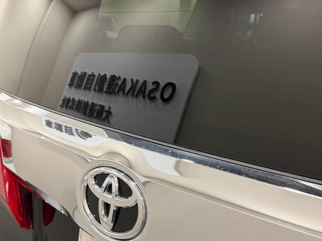 Миниатюра 51