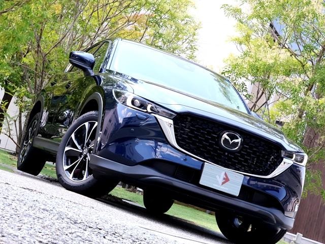 Миниатюра 72