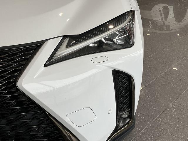 Миниатюра 30