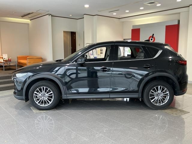 Миниатюра 16