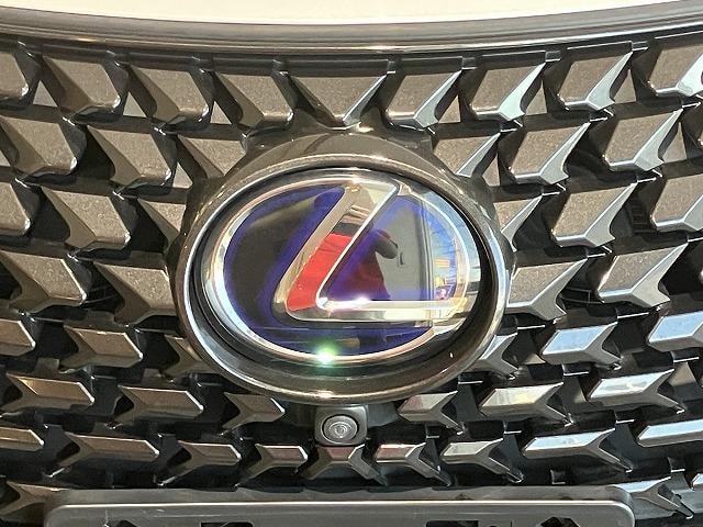 Миниатюра 51