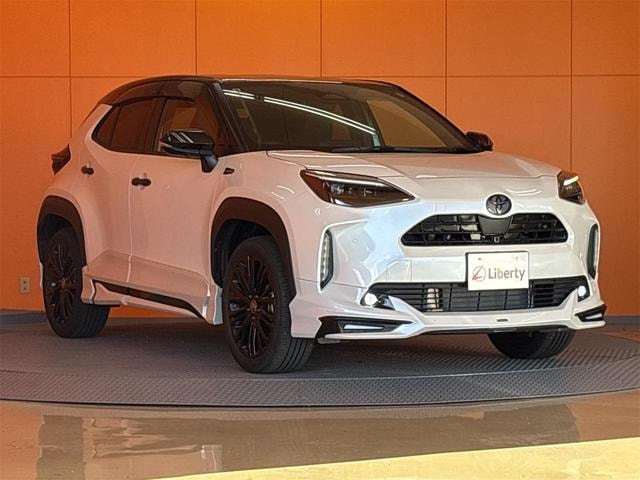 Миниатюра 17