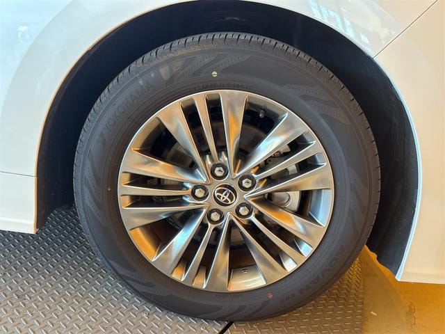 Миниатюра 41