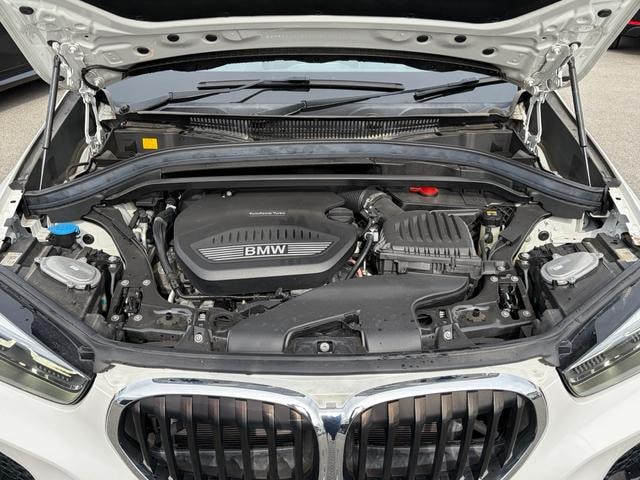 Миниатюра 51