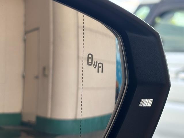 Миниатюра 55