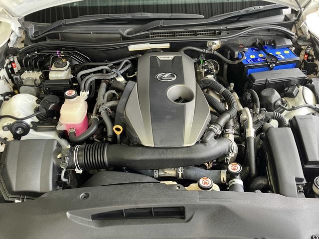 Миниатюра 22