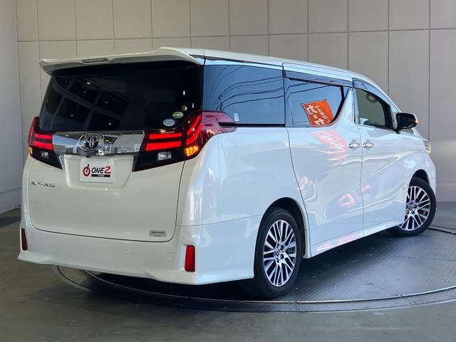 Миниатюра 30