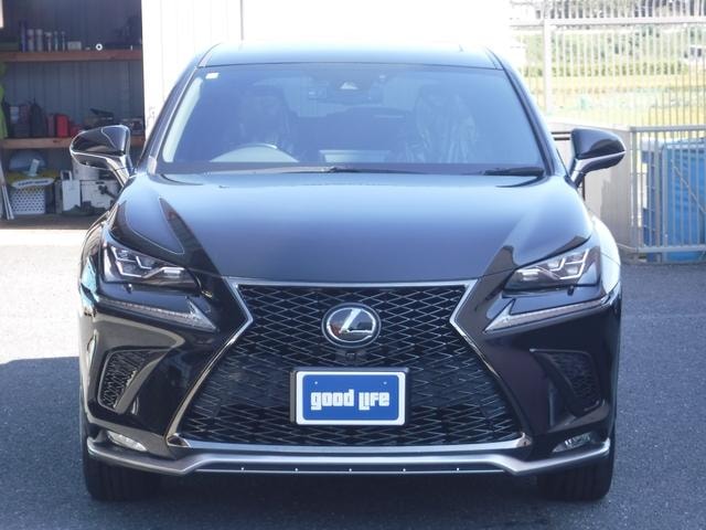 Миниатюра 12
