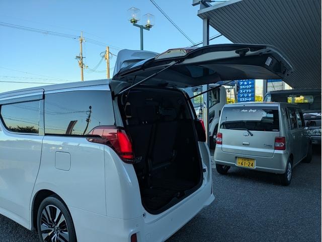 Toyota ALPHARD 2021 — фото автомобиля 1
