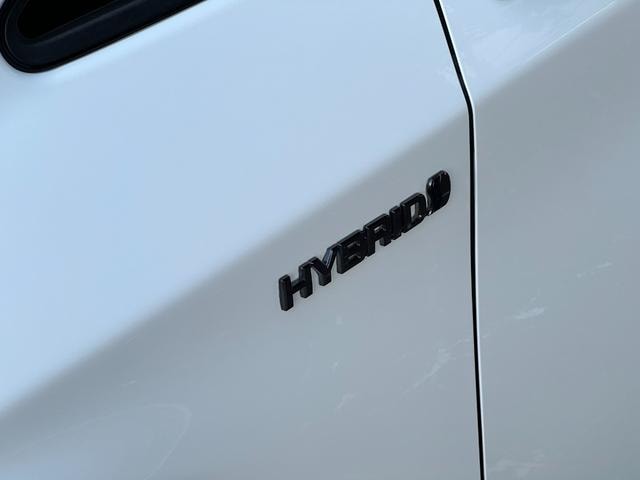 Toyota PRIUS 2010 — фото автомобиля 1