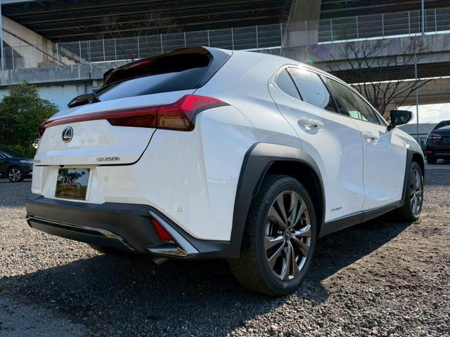 Миниатюра 25