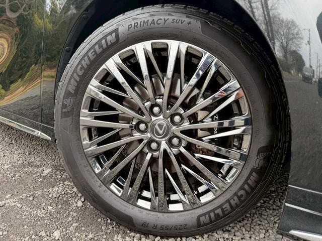 Миниатюра 18