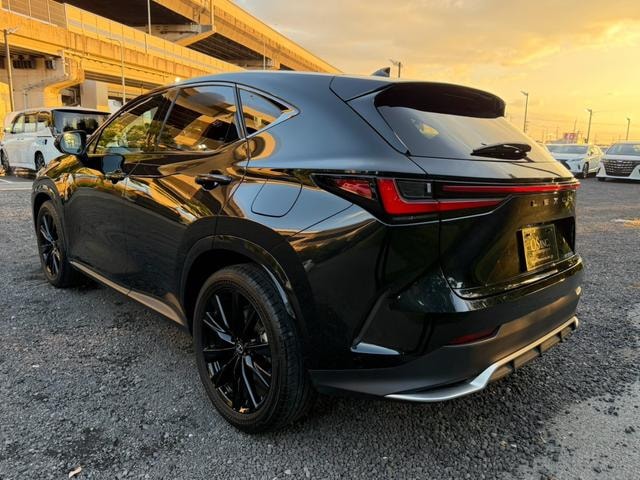 Миниатюра 29